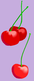 cherries on a lavender background